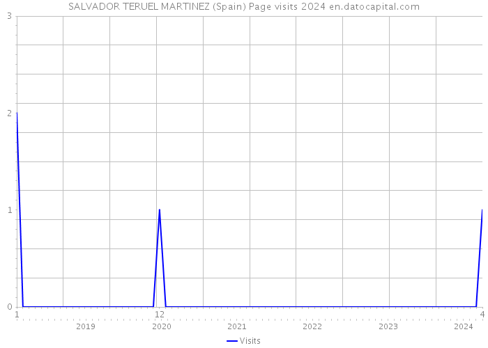 SALVADOR TERUEL MARTINEZ (Spain) Page visits 2024 