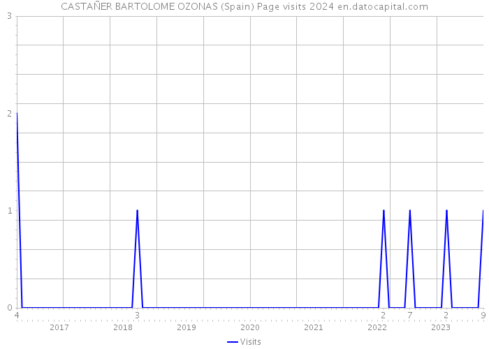 CASTAÑER BARTOLOME OZONAS (Spain) Page visits 2024 