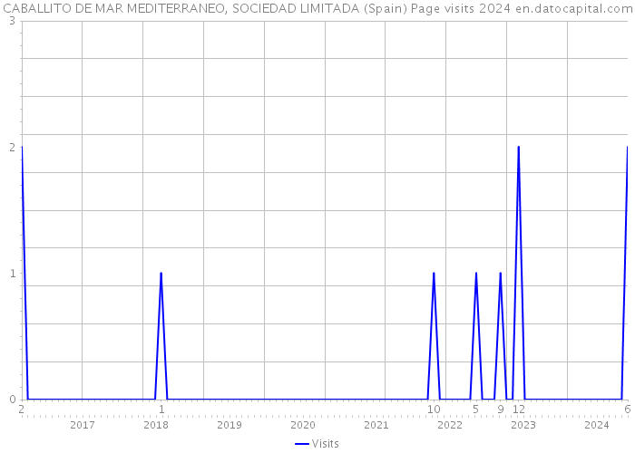 CABALLITO DE MAR MEDITERRANEO, SOCIEDAD LIMITADA (Spain) Page visits 2024 