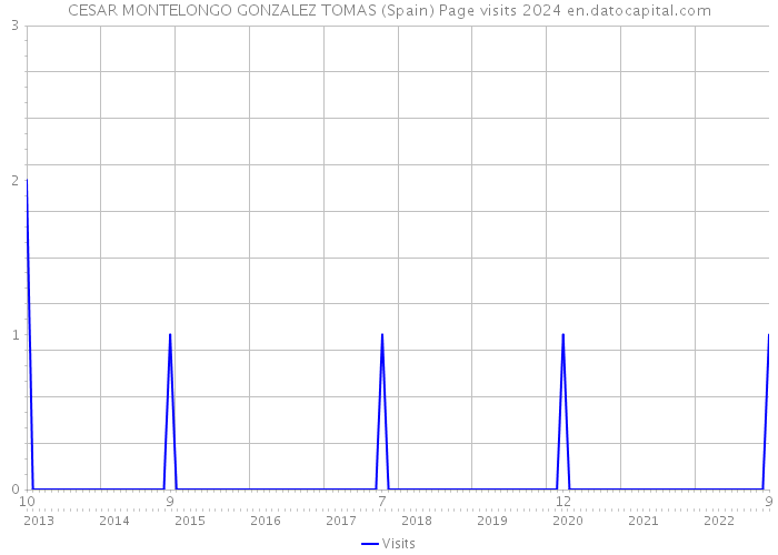 CESAR MONTELONGO GONZALEZ TOMAS (Spain) Page visits 2024 
