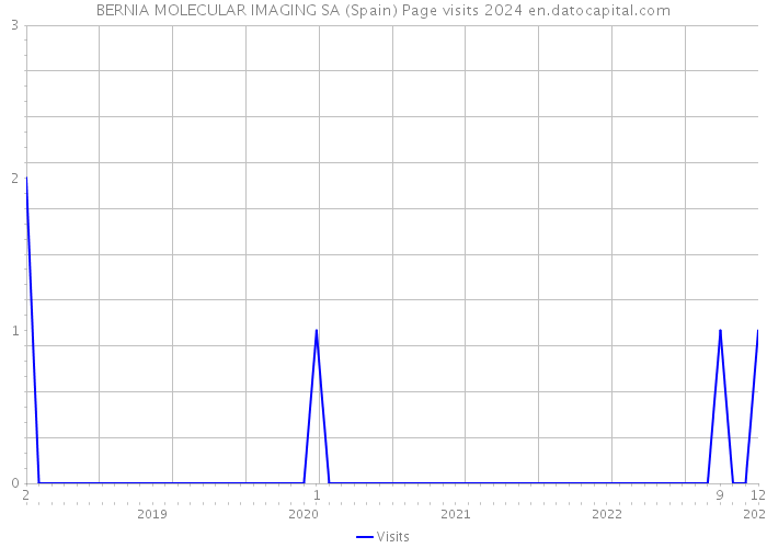 BERNIA MOLECULAR IMAGING SA (Spain) Page visits 2024 