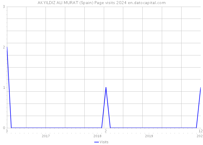 AKYILDIZ ALI MURAT (Spain) Page visits 2024 
