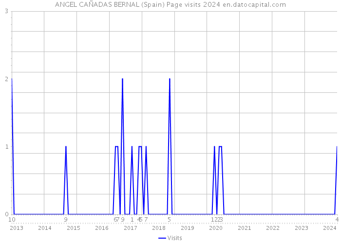 ANGEL CAÑADAS BERNAL (Spain) Page visits 2024 