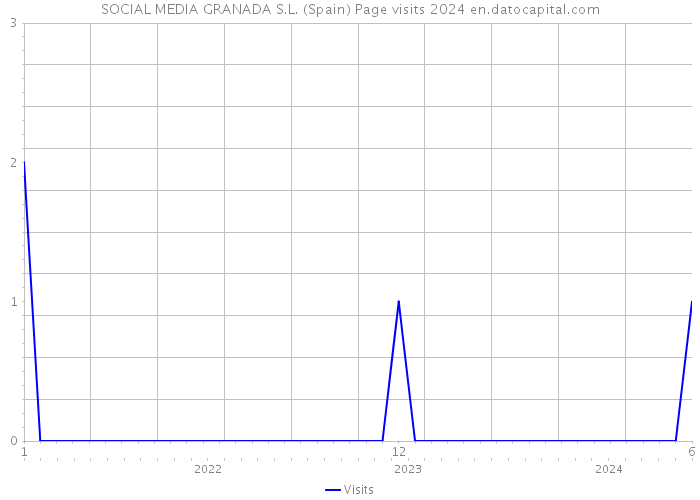 SOCIAL MEDIA GRANADA S.L. (Spain) Page visits 2024 