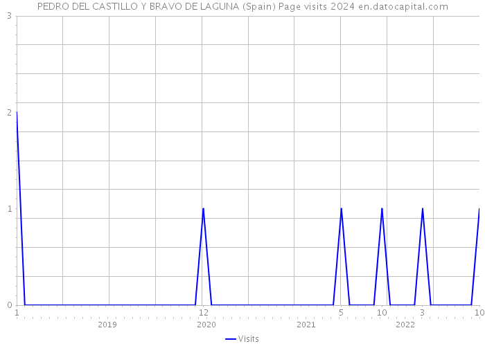 PEDRO DEL CASTILLO Y BRAVO DE LAGUNA (Spain) Page visits 2024 