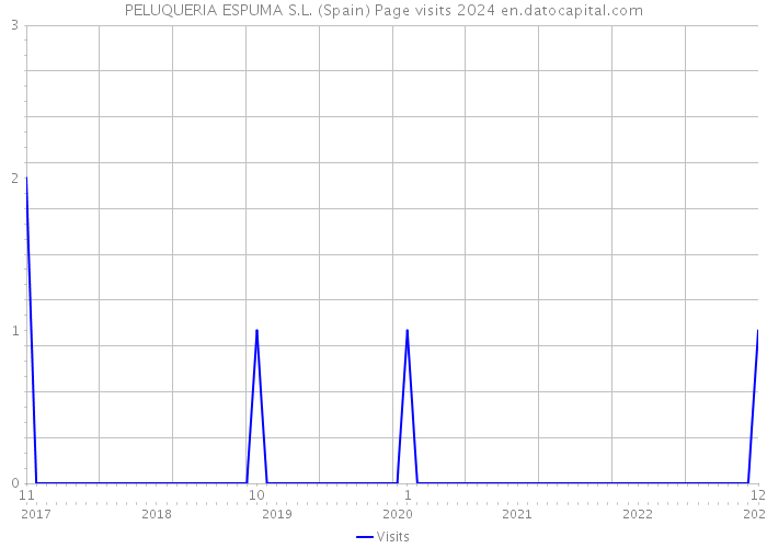 PELUQUERIA ESPUMA S.L. (Spain) Page visits 2024 