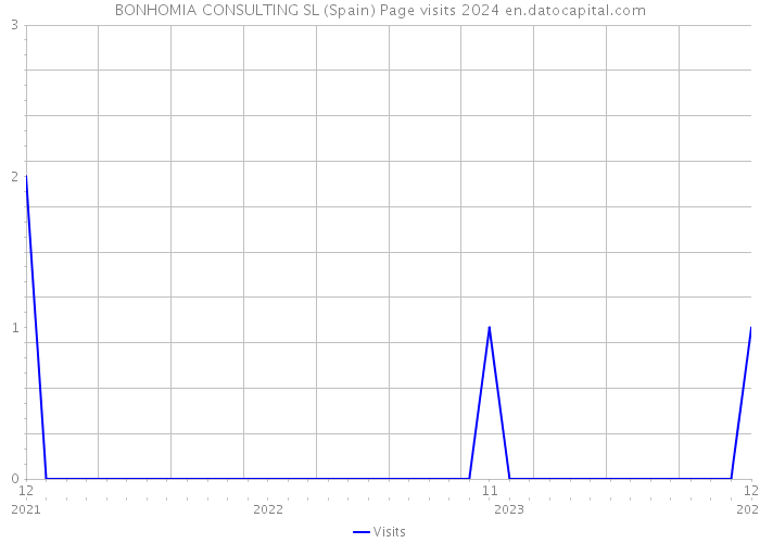 BONHOMIA CONSULTING SL (Spain) Page visits 2024 