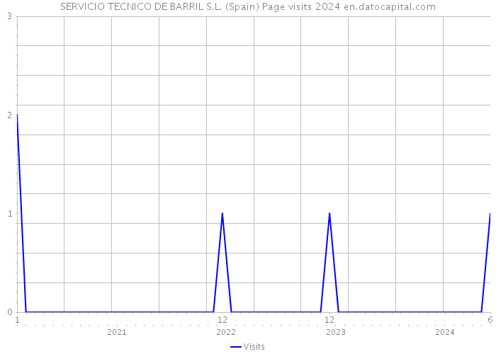 SERVICIO TECNICO DE BARRIL S.L. (Spain) Page visits 2024 