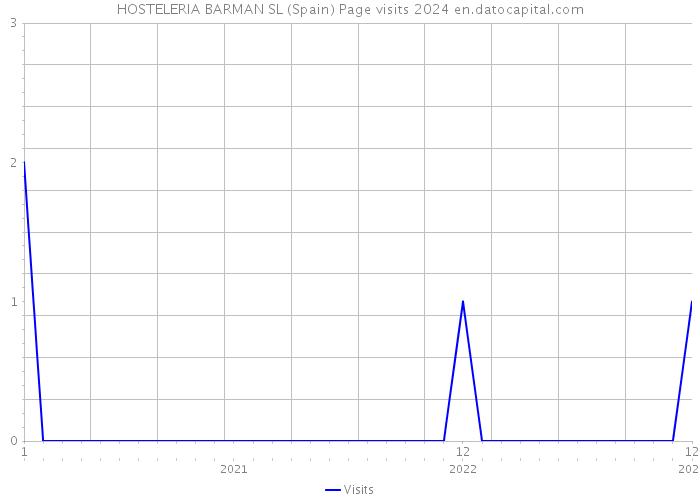 HOSTELERIA BARMAN SL (Spain) Page visits 2024 