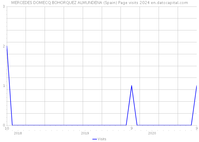 MERCEDES DOMECQ BOHORQUEZ ALMUNDENA (Spain) Page visits 2024 