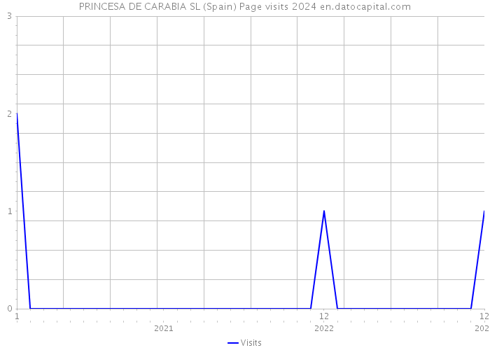 PRINCESA DE CARABIA SL (Spain) Page visits 2024 