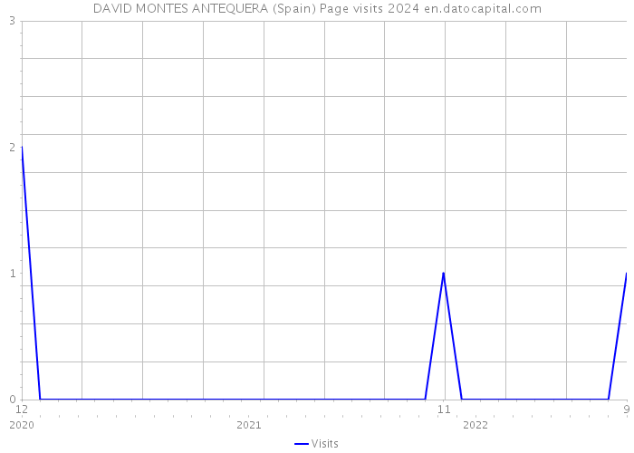 DAVID MONTES ANTEQUERA (Spain) Page visits 2024 