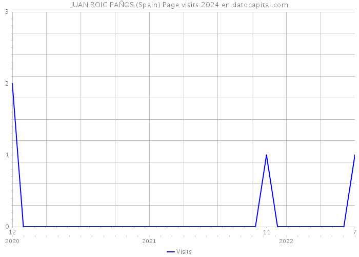 JUAN ROIG PAÑOS (Spain) Page visits 2024 