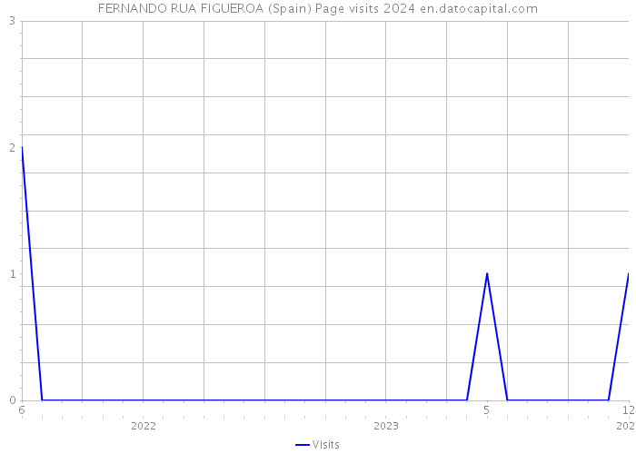 FERNANDO RUA FIGUEROA (Spain) Page visits 2024 