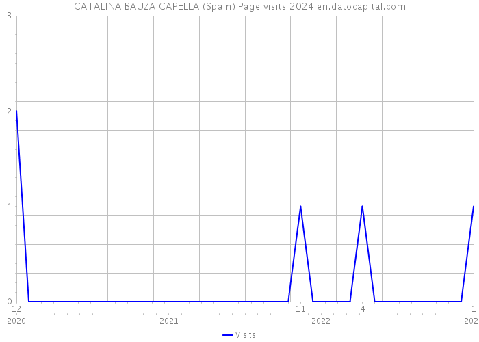 CATALINA BAUZA CAPELLA (Spain) Page visits 2024 
