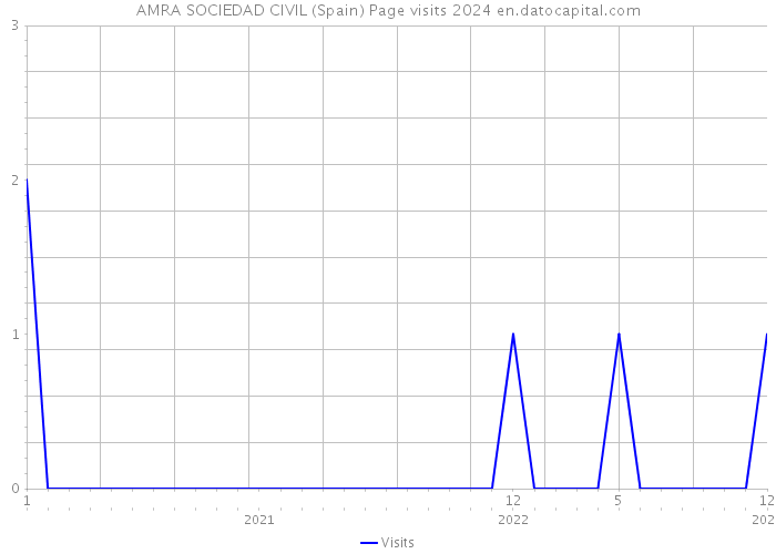 AMRA SOCIEDAD CIVIL (Spain) Page visits 2024 