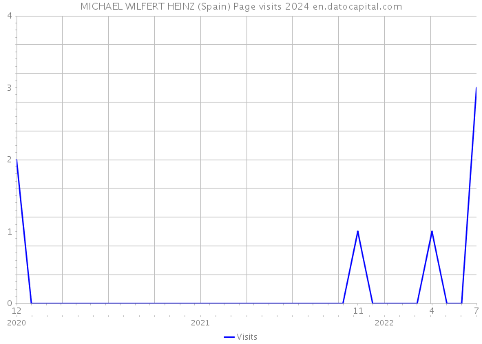 MICHAEL WILFERT HEINZ (Spain) Page visits 2024 