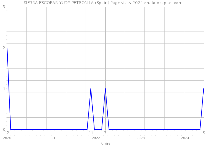 SIERRA ESCOBAR YUDY PETRONILA (Spain) Page visits 2024 