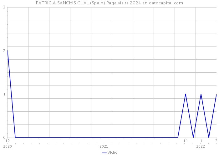 PATRICIA SANCHIS GUAL (Spain) Page visits 2024 