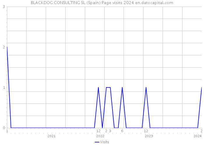BLACKDOG CONSULTING SL (Spain) Page visits 2024 