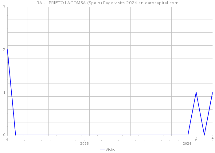 RAUL PRIETO LACOMBA (Spain) Page visits 2024 