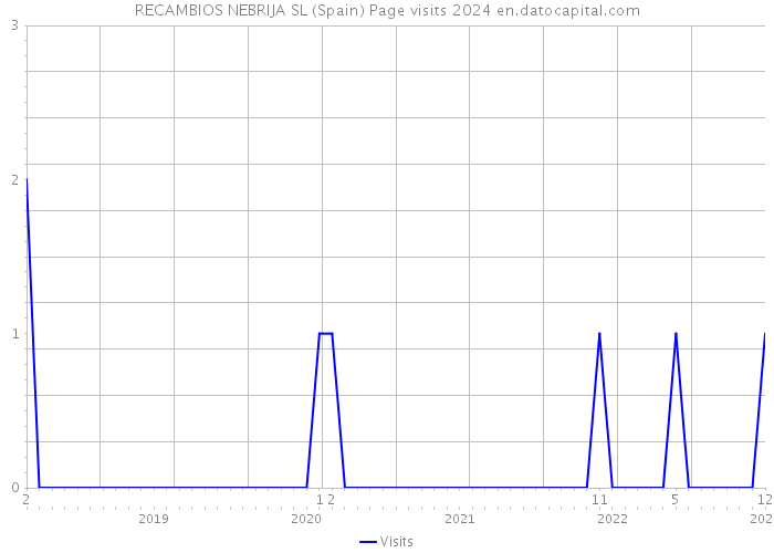RECAMBIOS NEBRIJA SL (Spain) Page visits 2024 