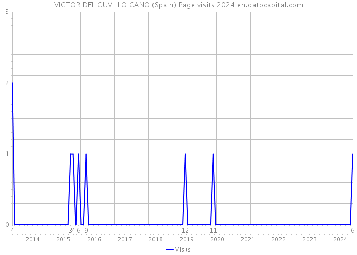 VICTOR DEL CUVILLO CANO (Spain) Page visits 2024 
