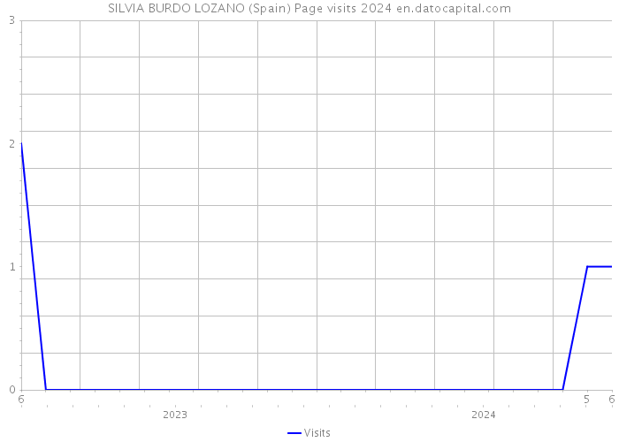 SILVIA BURDO LOZANO (Spain) Page visits 2024 