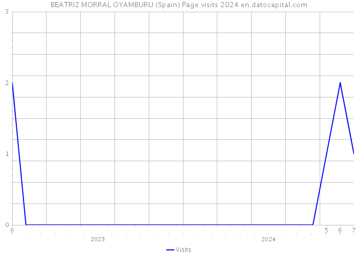 BEATRIZ MORRAL OYAMBURU (Spain) Page visits 2024 