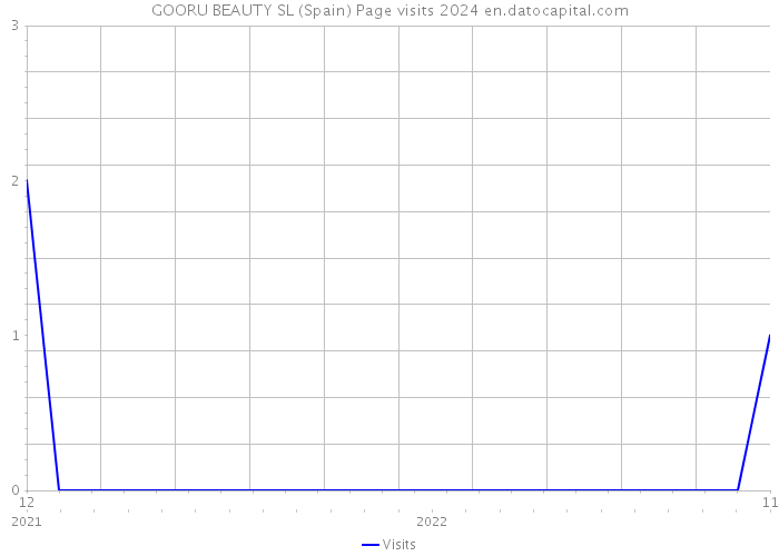 GOORU BEAUTY SL (Spain) Page visits 2024 