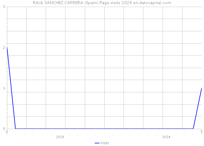 RAUL SANCHEZ CARRERA (Spain) Page visits 2024 