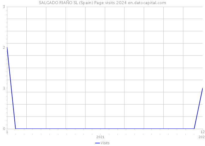 SALGADO RIAÑO SL (Spain) Page visits 2024 