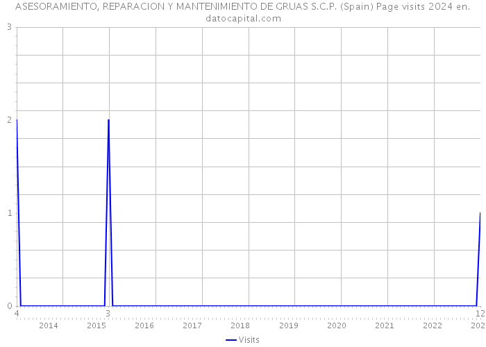 ASESORAMIENTO, REPARACION Y MANTENIMIENTO DE GRUAS S.C.P. (Spain) Page visits 2024 