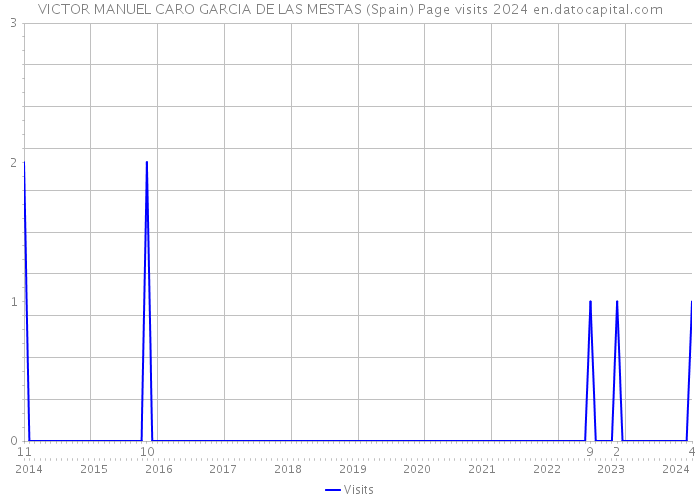 VICTOR MANUEL CARO GARCIA DE LAS MESTAS (Spain) Page visits 2024 