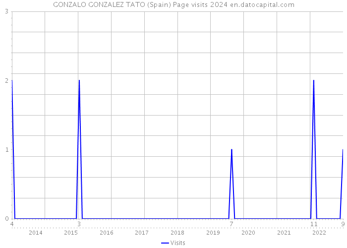 GONZALO GONZALEZ TATO (Spain) Page visits 2024 