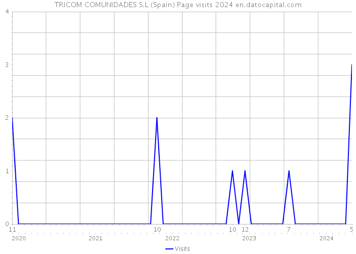 TRICOM COMUNIDADES S.L (Spain) Page visits 2024 