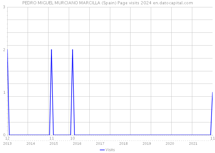 PEDRO MIGUEL MURCIANO MARCILLA (Spain) Page visits 2024 