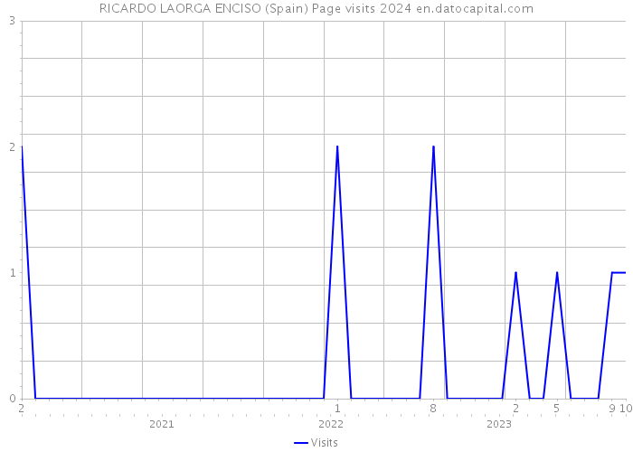 RICARDO LAORGA ENCISO (Spain) Page visits 2024 