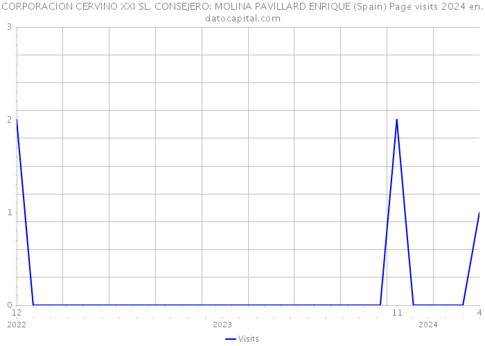 CORPORACION CERVINO XXI SL. CONSEJERO: MOLINA PAVILLARD ENRIQUE (Spain) Page visits 2024 