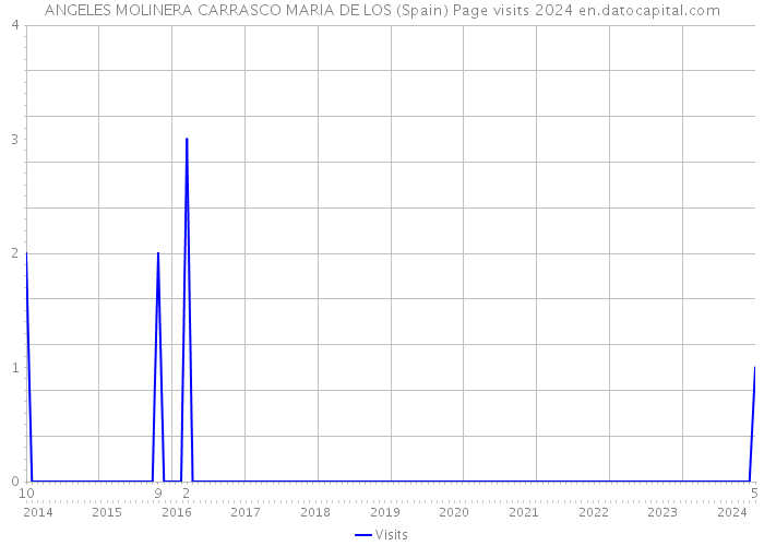 ANGELES MOLINERA CARRASCO MARIA DE LOS (Spain) Page visits 2024 