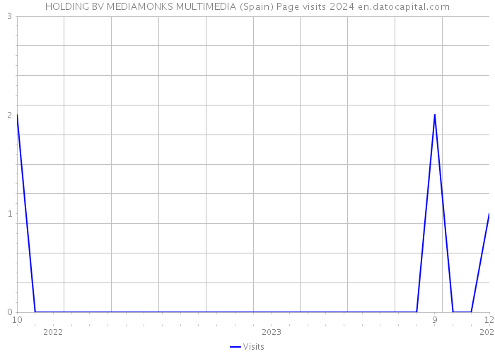 HOLDING BV MEDIAMONKS MULTIMEDIA (Spain) Page visits 2024 