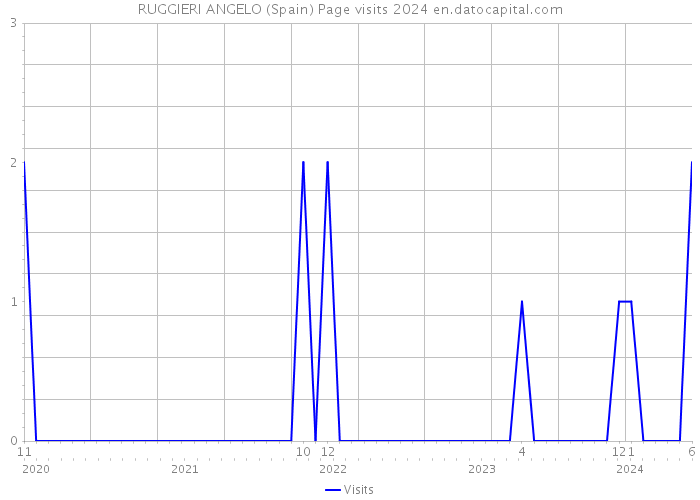 RUGGIERI ANGELO (Spain) Page visits 2024 