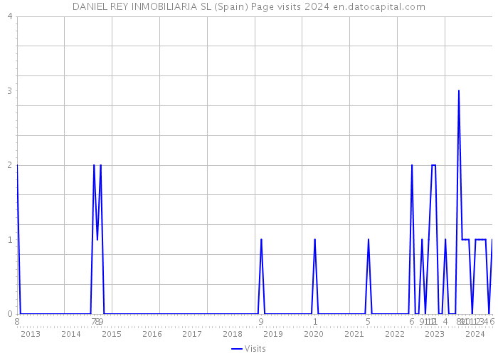 DANIEL REY INMOBILIARIA SL (Spain) Page visits 2024 