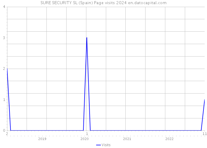 SURE SECURITY SL (Spain) Page visits 2024 