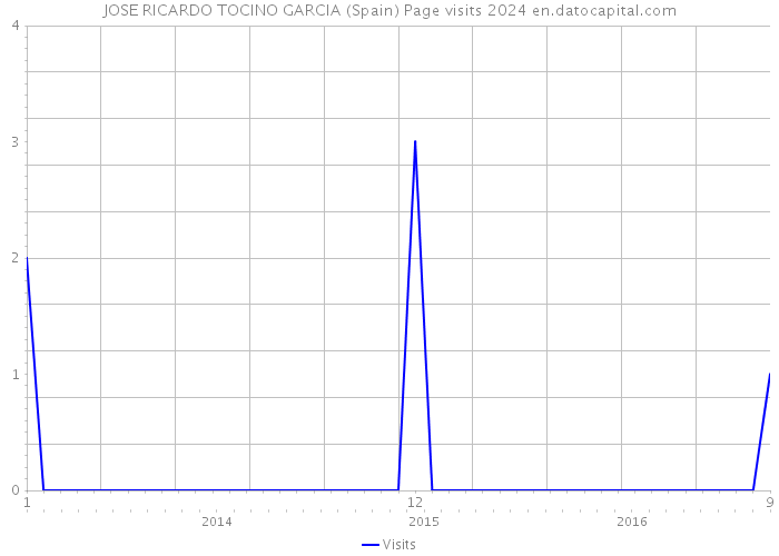 JOSE RICARDO TOCINO GARCIA (Spain) Page visits 2024 