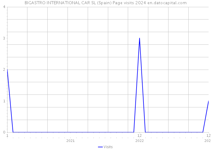 BIGASTRO INTERNATIONAL CAR SL (Spain) Page visits 2024 