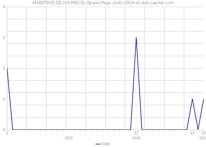 MAESTROS DE LOS PIES SL (Spain) Page visits 2024 