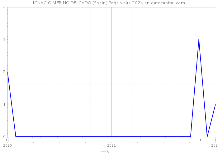 IGNACIO MERINO DELGADO (Spain) Page visits 2024 