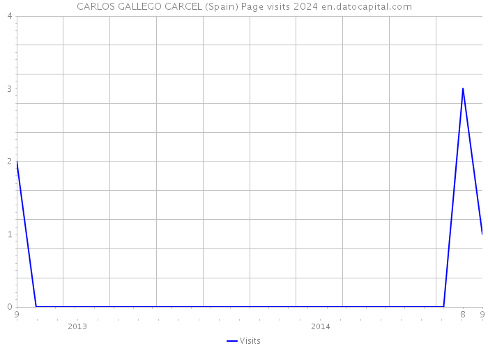 CARLOS GALLEGO CARCEL (Spain) Page visits 2024 