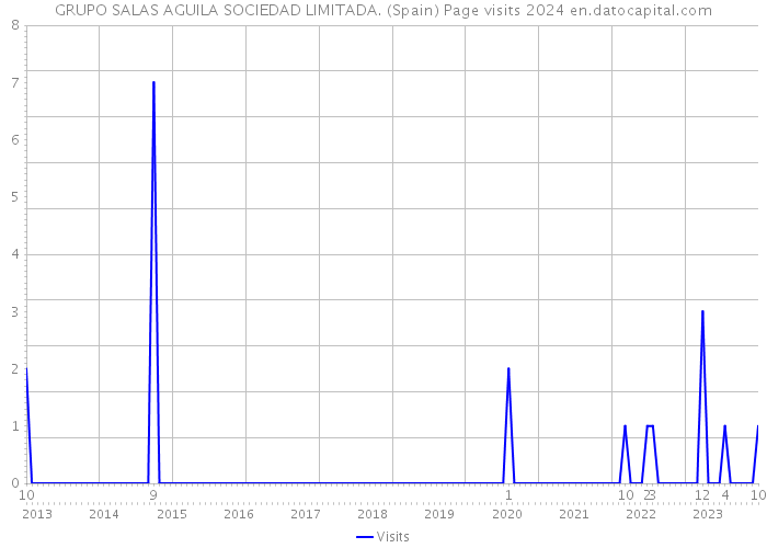 GRUPO SALAS AGUILA SOCIEDAD LIMITADA. (Spain) Page visits 2024 